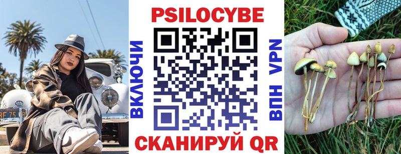 Псилоцибиновые грибы Cubensis  цены   Павловский Посад 