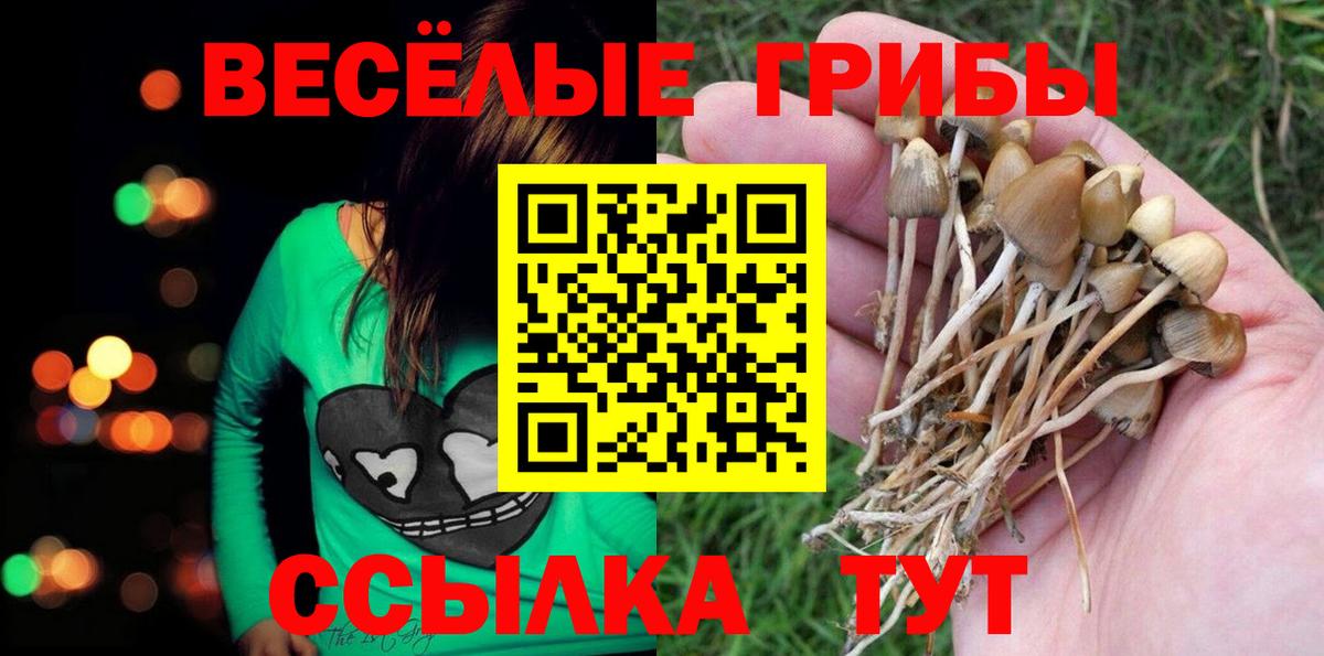 Псилоцибиновые грибы Cubensis Павловский Посад