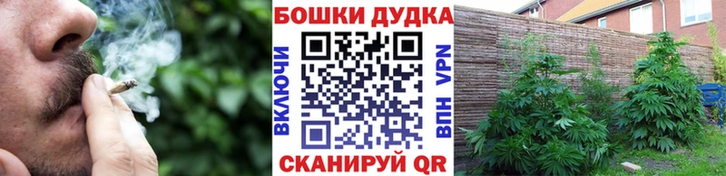 закладки Павловский Посад Канабис LSD WEED